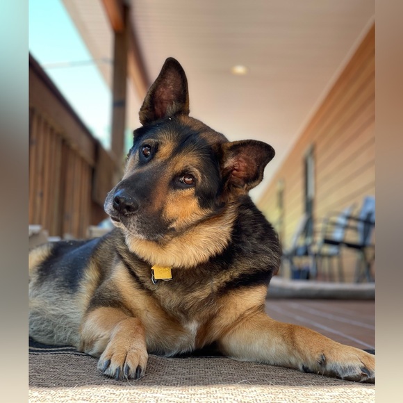 🖤LIVE SHOW LISTING🖤 Like To Be Notified!!! - Picture 8 of 16